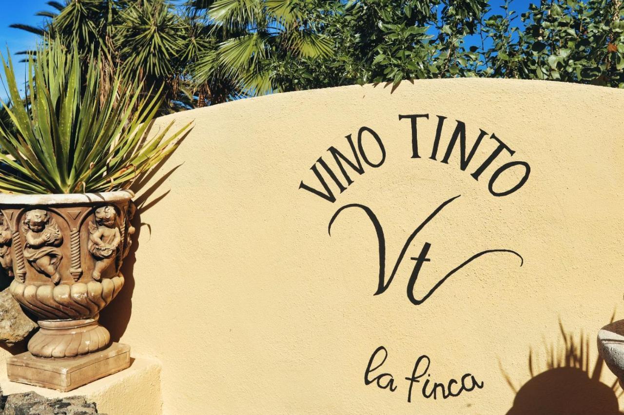 Finca Vino Tinto 4 Icod De Los Vinos Buitenkant foto